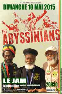 ABYSSINIANS